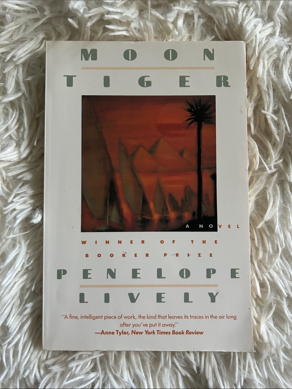 'Moon Tiger' Paperback novel by Penelope Liveli, Booker prize winner